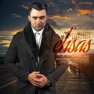   مسعود تقی زاده