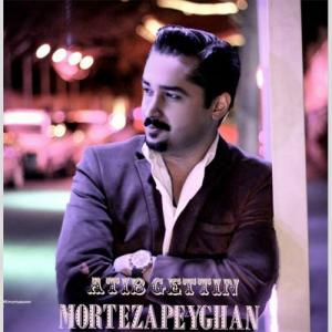   مرتضی پیغان