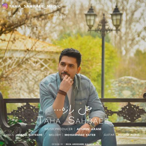   طاها صحرایی