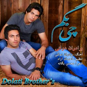   برادران دولتی