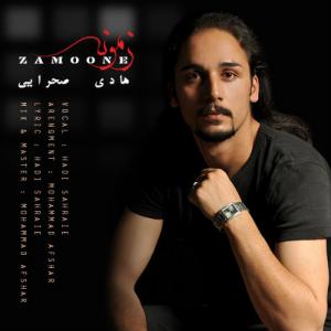   هادی صحرایی