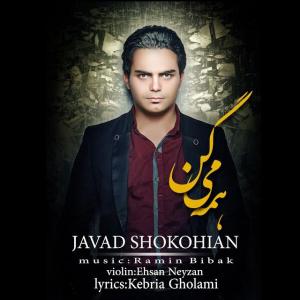   جواد شکوهیان