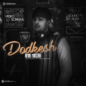   امیر میرزائی