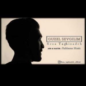   رضا تقی زاده