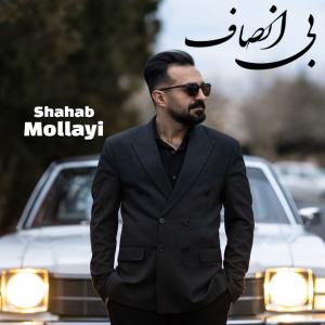   شهاب مولایی