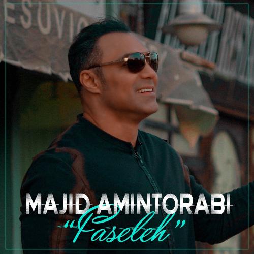   مجید امین ترابی