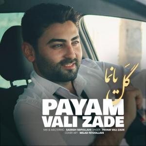   پیام ولیزاده