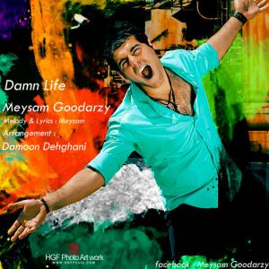   میثم گودرزی