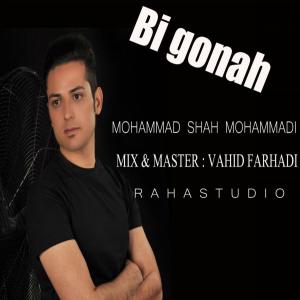   محمد شاه محمدی