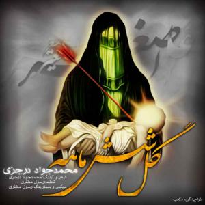   محمد جواد درجزی