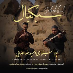   حمیدرضا رضایی و پوریا سبزواری