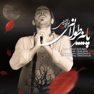   امیر ارجینی