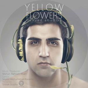   بهزاد آبادیان