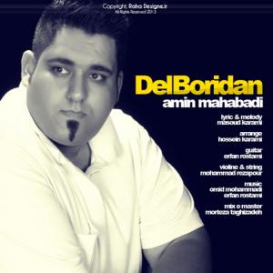   امین مهابادی