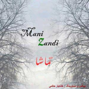   مانی زندی