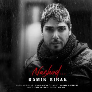   رامین بیباک