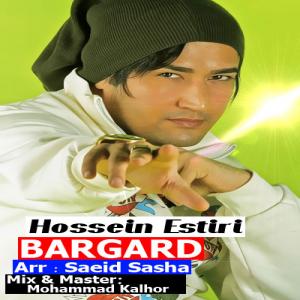   حسین استیری