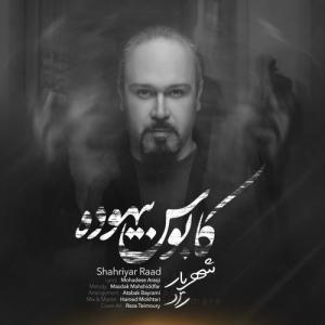   شهریار راد