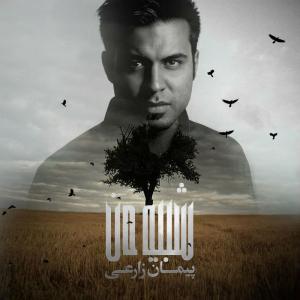   پیمان زارعی