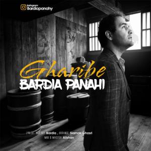   بردیا پناهی