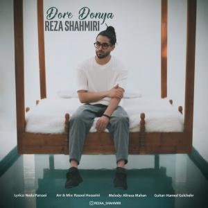   رضا شاه میری