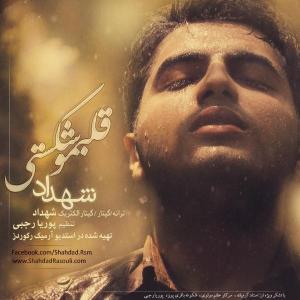   شهداد رسولی