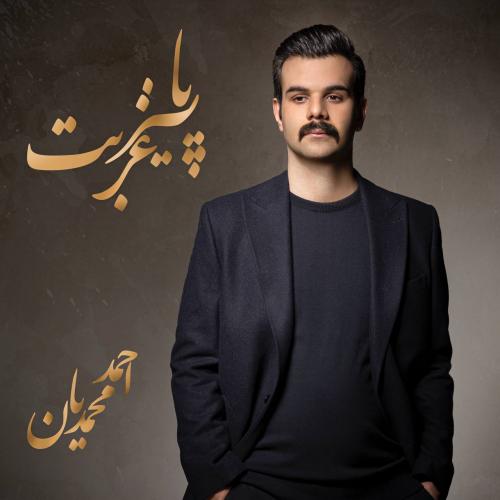   احمد محمدیان