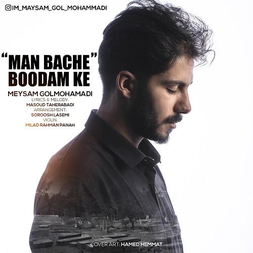   میثم گل محمدی