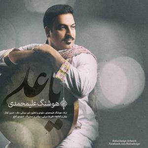   هوشنگ علی محمدی