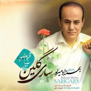   بهزاد میرلو