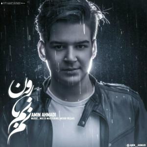   امین احمدی