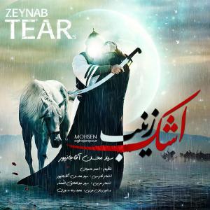   محسن اقاجانپور