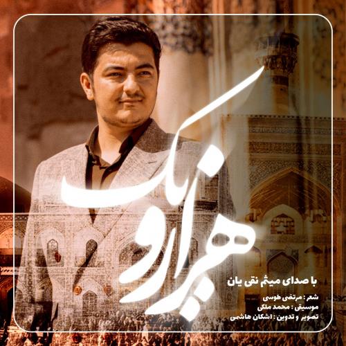   میثم نقی یان