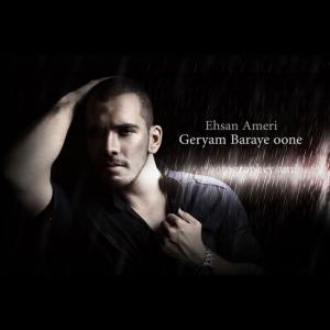   احسان عامری