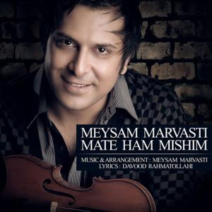   میثم مروشتی