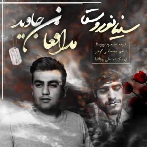   سینا نوروستا