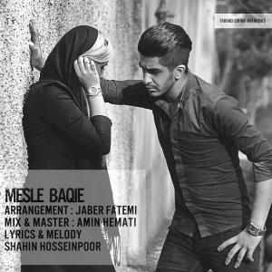   شاهین حسین پور