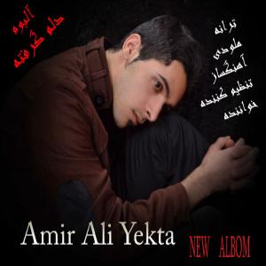   امیر علی یکتا