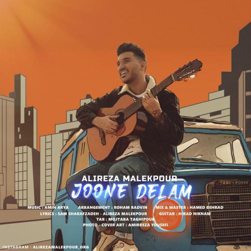   علیرضا ملک پور