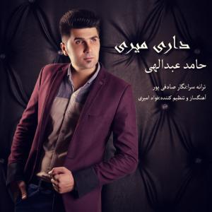   حامد عبدالهی