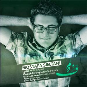   مصطفی سلطانی