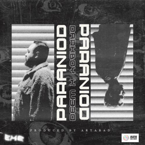   دی ام و دارک بوی