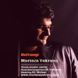   مرتضی یک رنگ