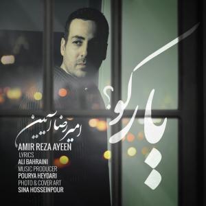   امیر رضا آیین