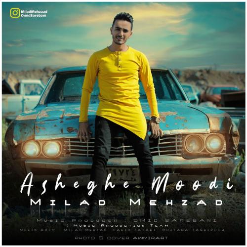   میلاد مهزاد