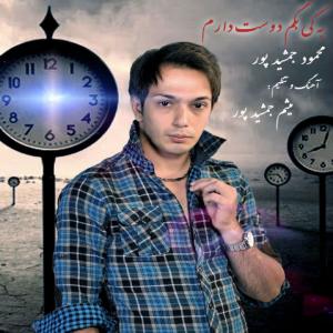   محمود جمشیدپور