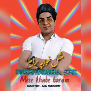   محمدرضا عطایی