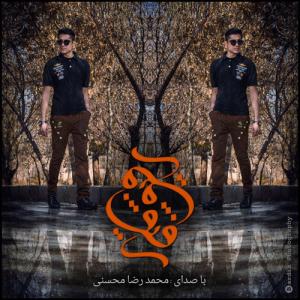   محمد رضا محسنی