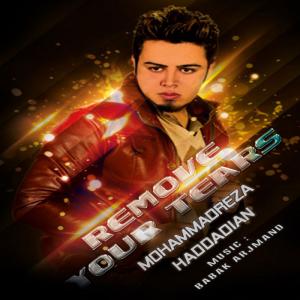   محمد رضا حدادیان