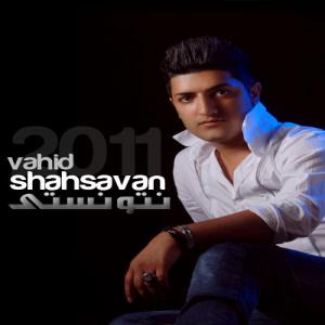   وحید شاهسوند